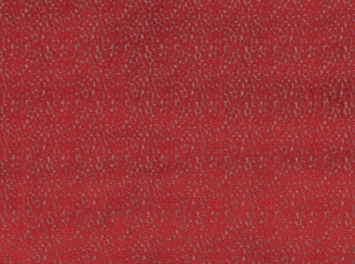 Flare Ruby